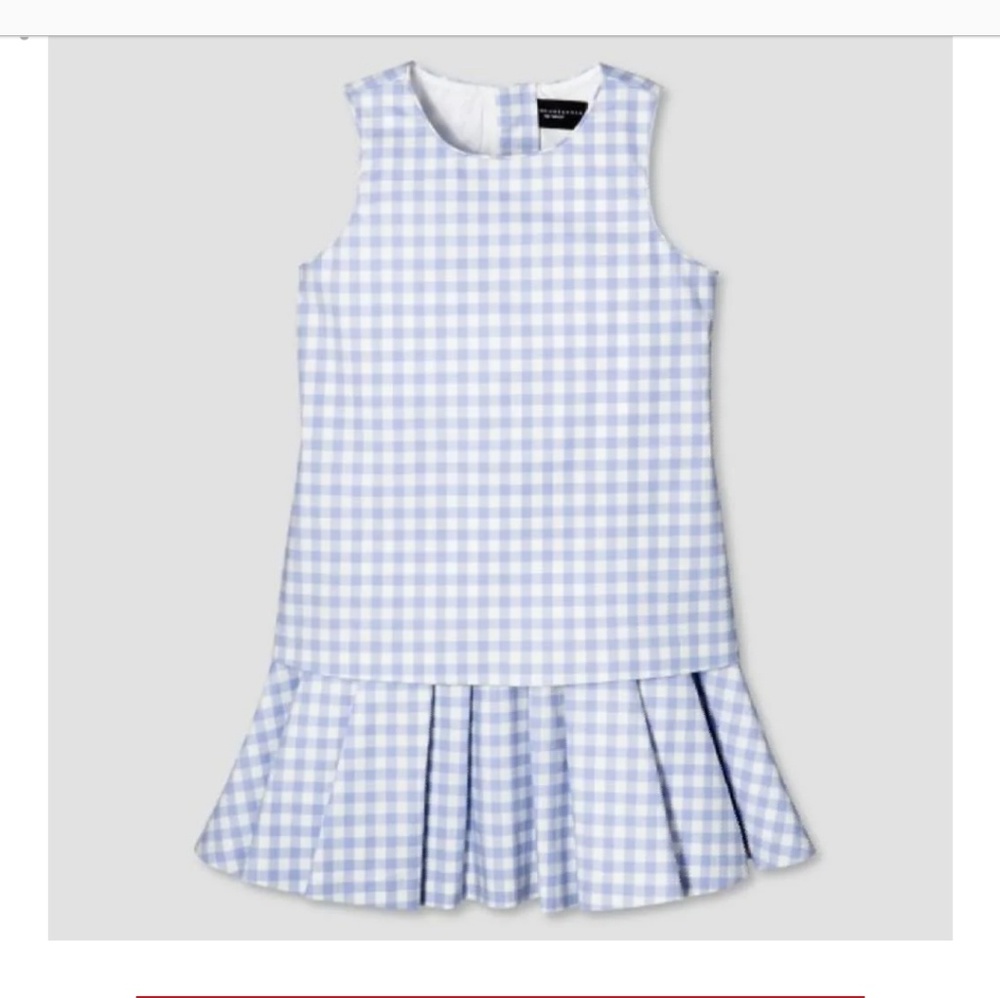 NWT gingham blue dress
